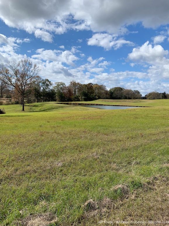 Hinds - 25.48 - Hank Beasley-11