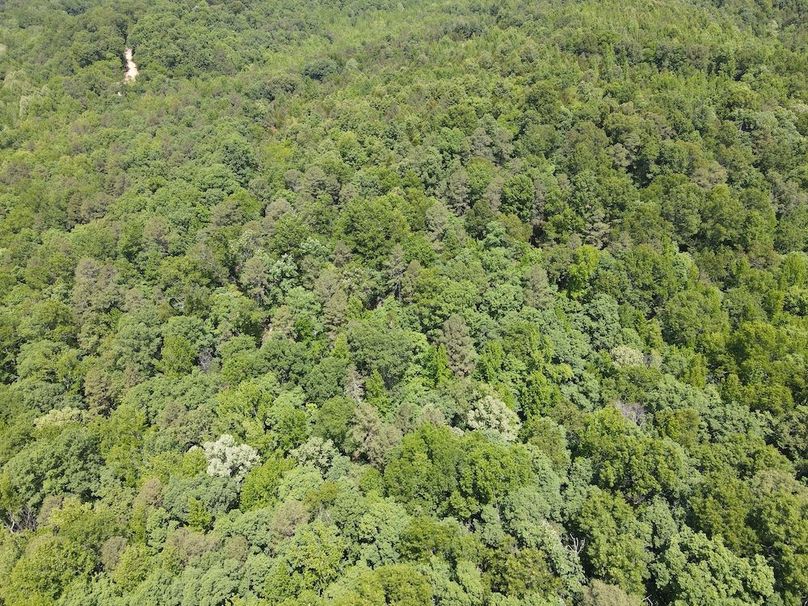 dji_fly_20260514_121320_802_1778778830962_photo