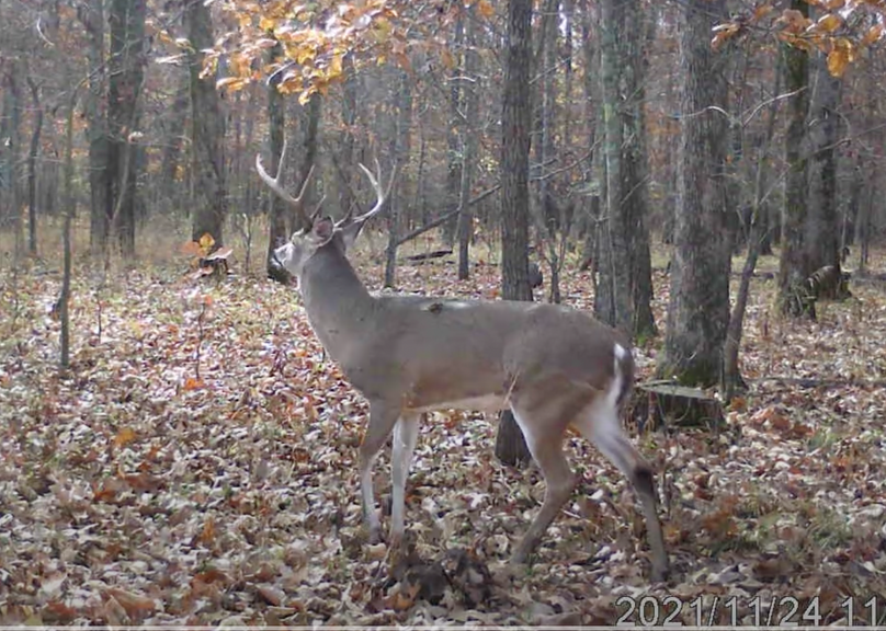 Screen Shot 2024-01-22 at 6.00.51 AM