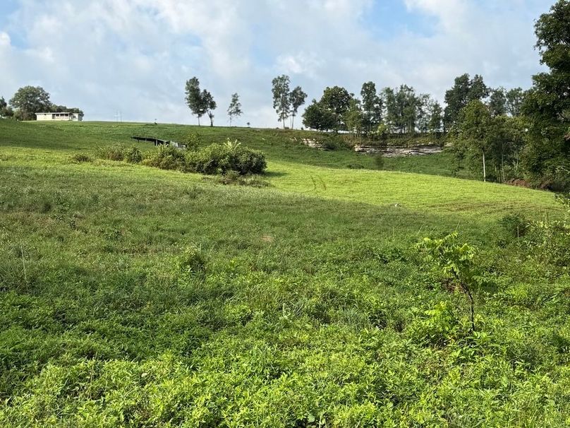 Breckinridge 31.6 11