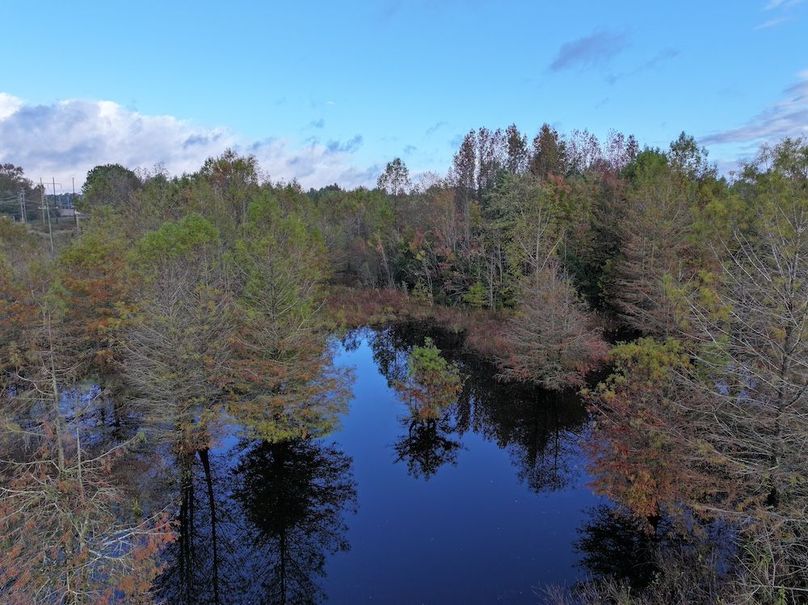 DJI_20251018094857_0119_D