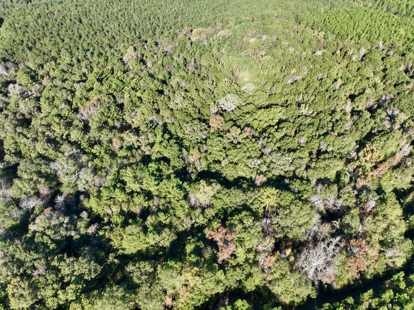 dji_fly_20251031_100714_983_1761919968655_photo