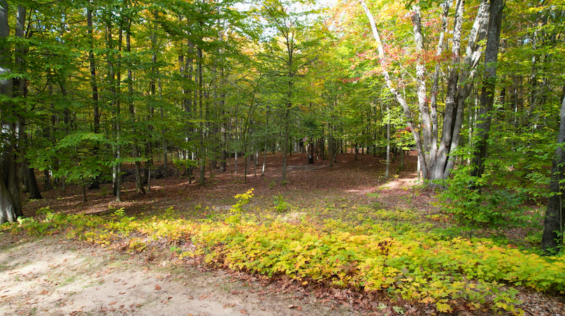 Screenshot 2025-11-03 at 1.45.43 PM