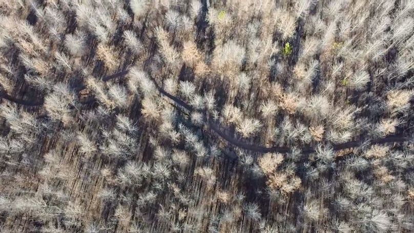 2024-01-30-15-48-41-232