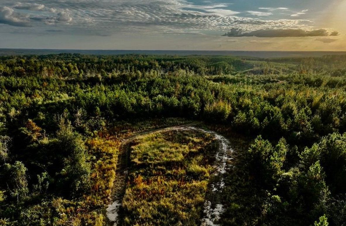 3C5E089C-683C-44D8-8CE9-B53800E163F3_1_105_c