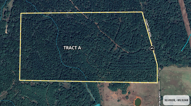 Screenshot 2025-10-16 at 9.07.32 AM