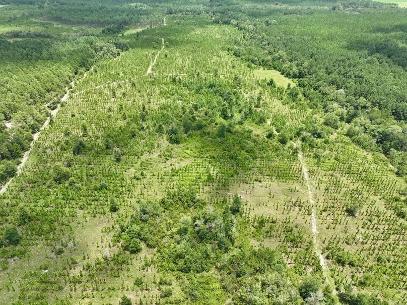 dji_fly_20240710_135752_562_1720634553239_photo