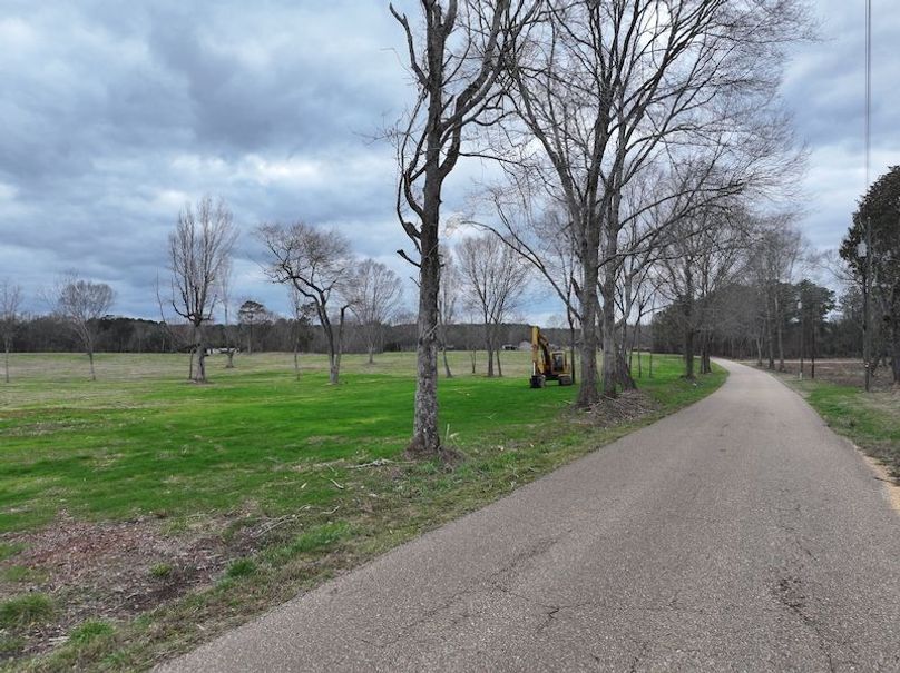 dji_fly_20260217_142732_0132_1771436911169_photo