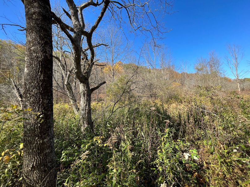 Schuyler_25.155_Ennis_Photos_26