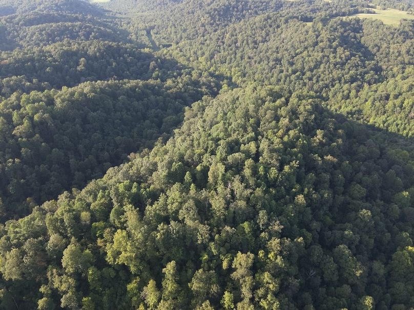 DJI_20250806185321_0012_W