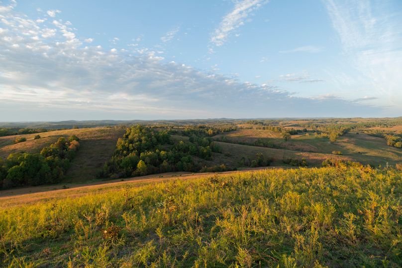 SMF_0168