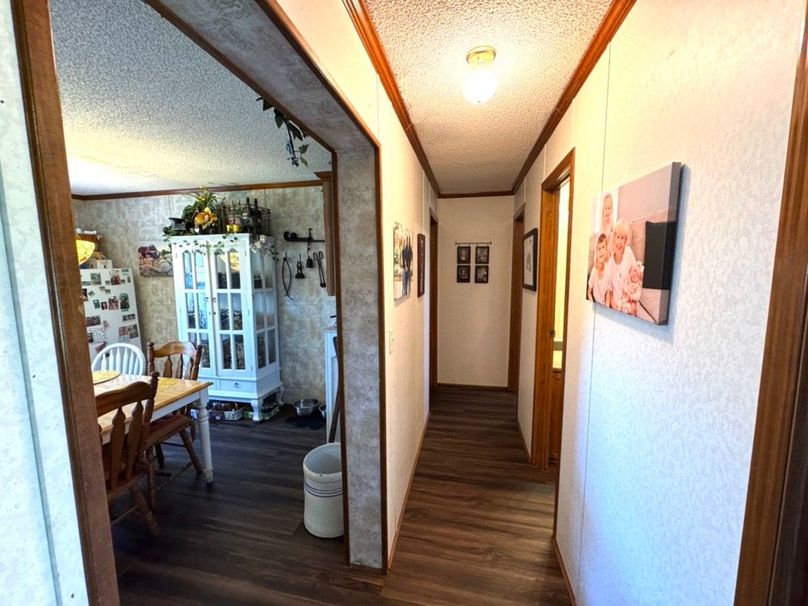 Pic 19