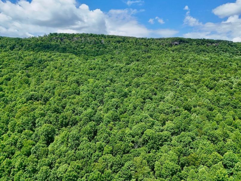 DJI_20260512124604_0011_D