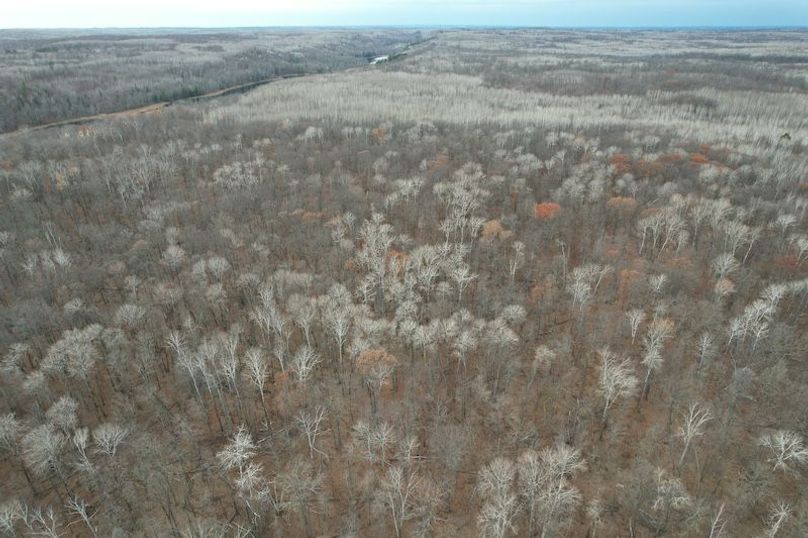 dji_fly_20251104_161006_8_1762294527417_photo