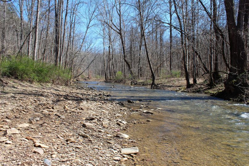 025 blue line rippling stream in center of the property