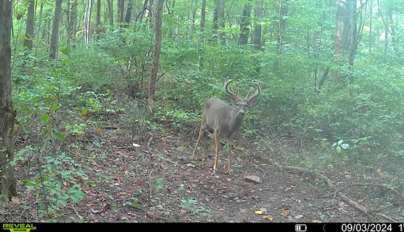 Screenshot 2024-09-14 at 7.36.07 AM