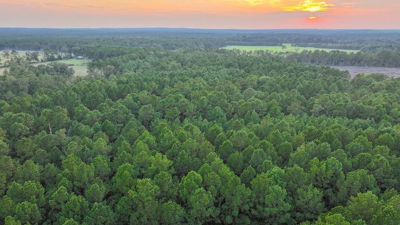 DJI_20250918184938_0280_D