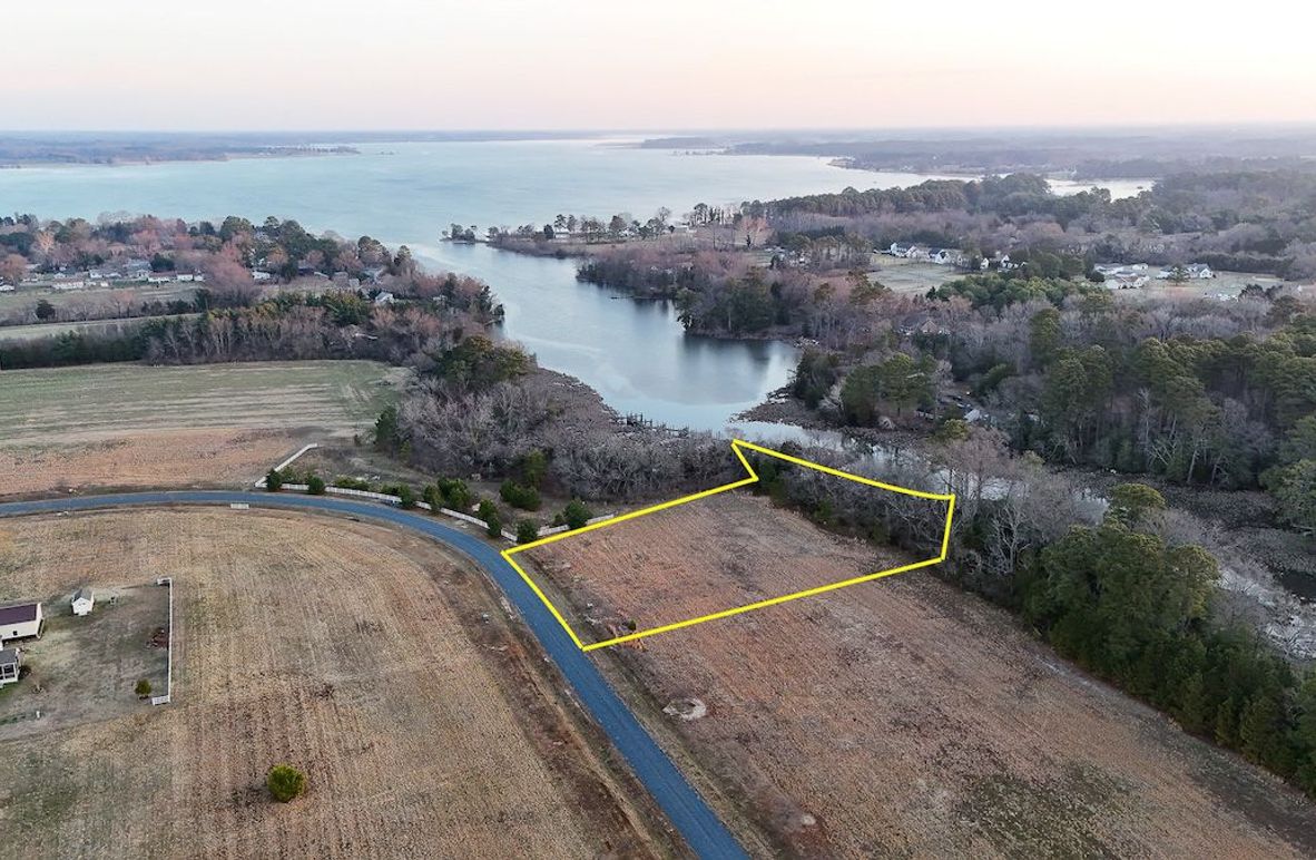 A_First Picture_dji_fly_20260311_073730_0037_1773239697869_photo-2