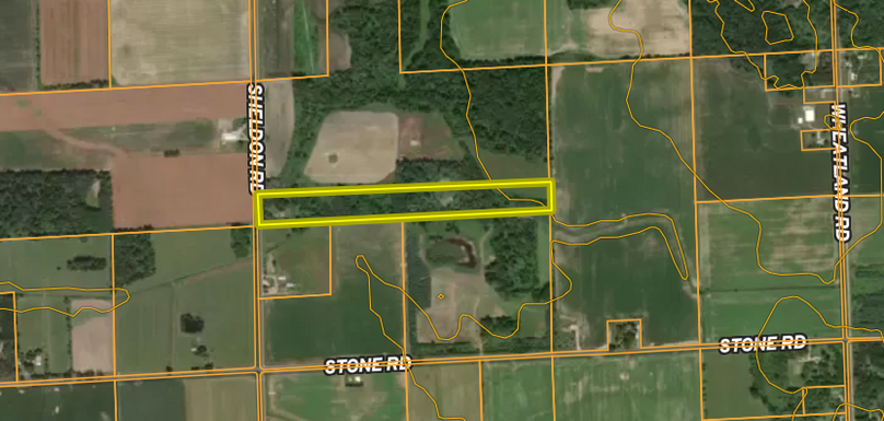 Screen Shot 2025-10-09 at 12.45.17 PM