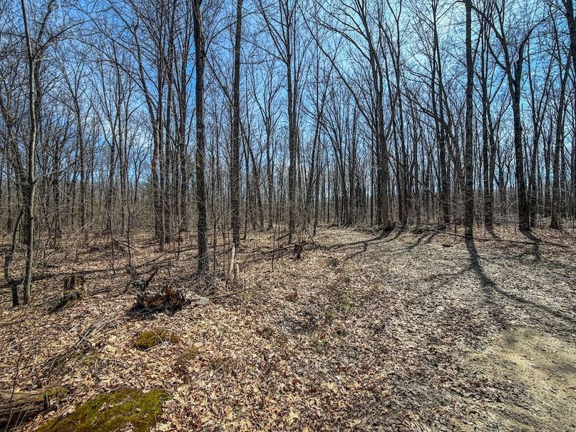 ClarK 160 WILLIAMS -59