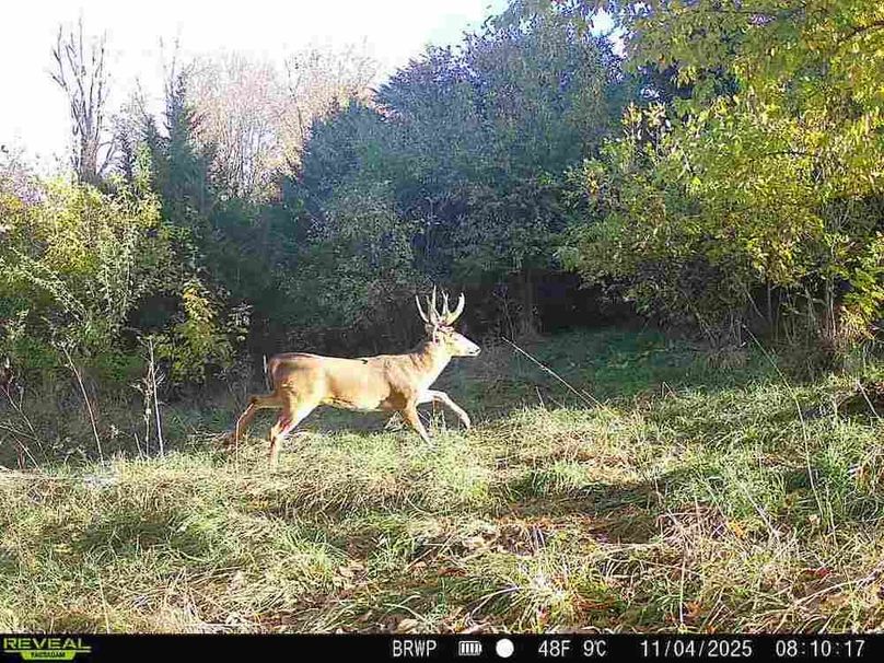 860322065924133-100-4-11042025081016-W1000529