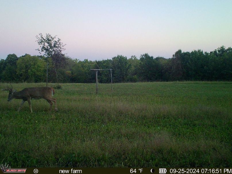 blackgate-media_176886512099449