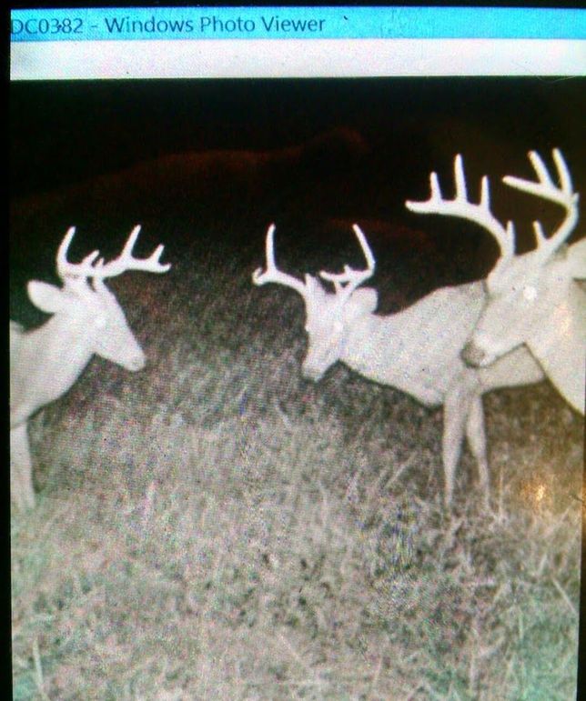 IMG_20151014_193434366_HDR