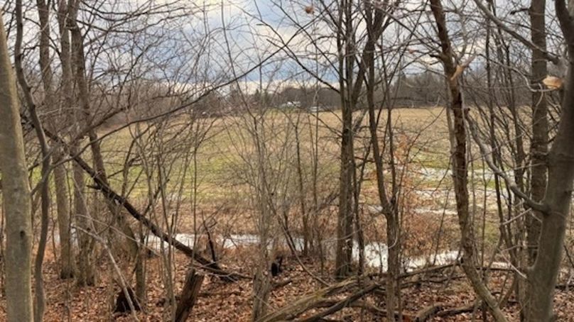 29D59E8E-C939-426D-AE0A-72C35C8045D1_4_5005_c