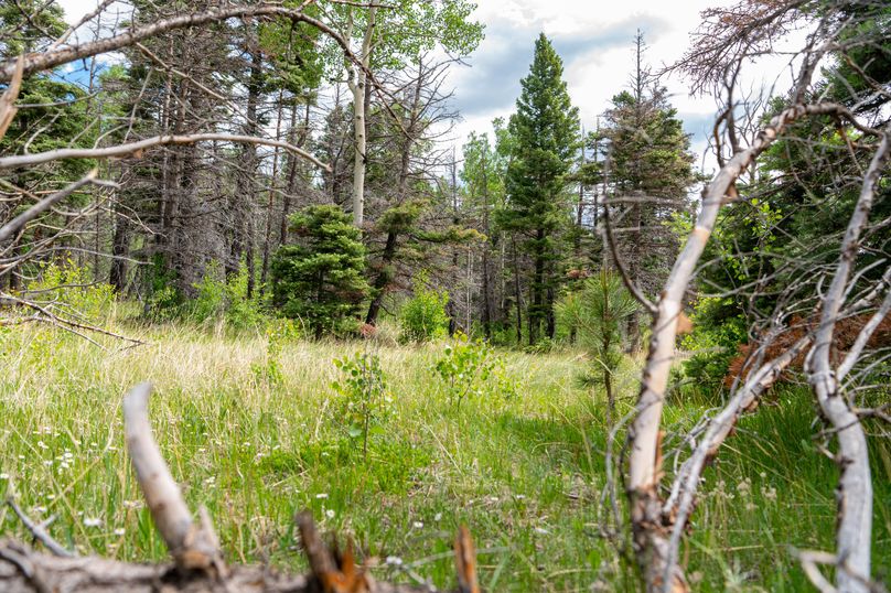 Copy of Los Alamos 508 6-24-14