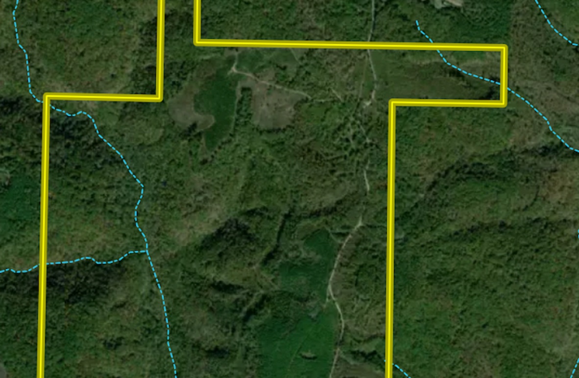 Screenshot 2024-11-14 at 9.10.54 AM