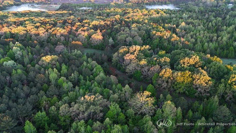 Hinds Co - 51 - Hughes-66