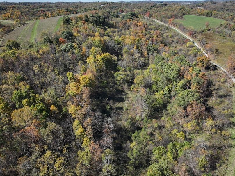 DJI_20241018011502_0262_D