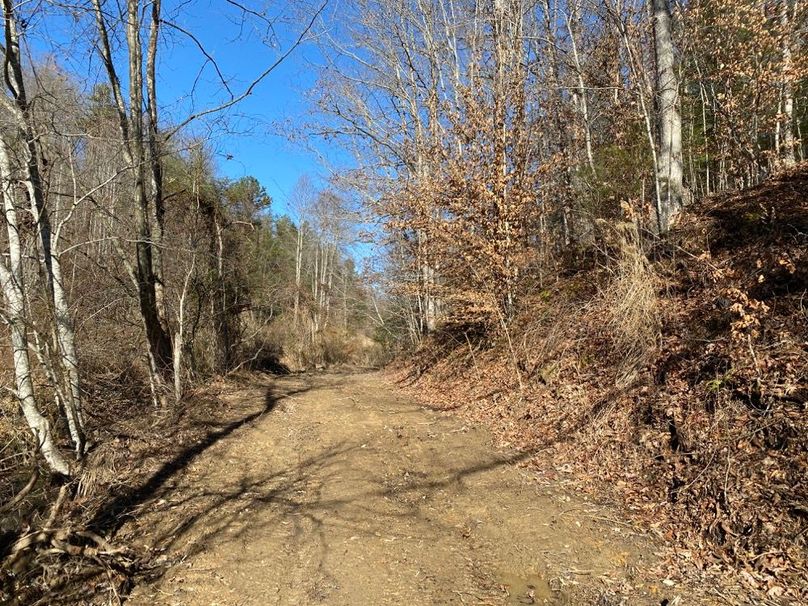 020 the dirt road just before arriving at the property