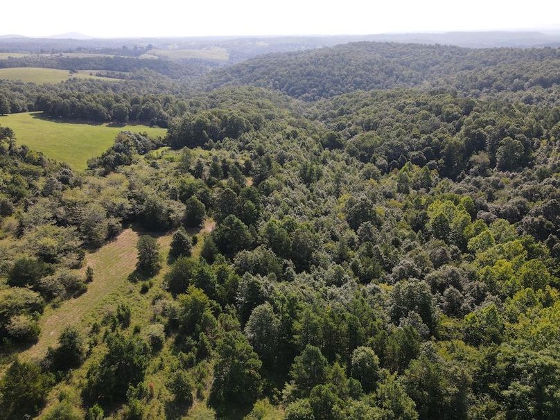 dji_fly_20240808_095230_300_1723128759361_photo