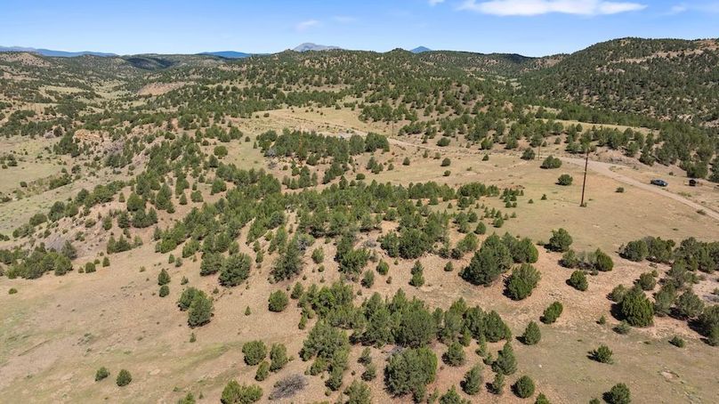 DJI_20240813131007_0360_D