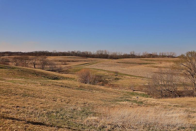 10 Buchanan 252.69 Tract 2