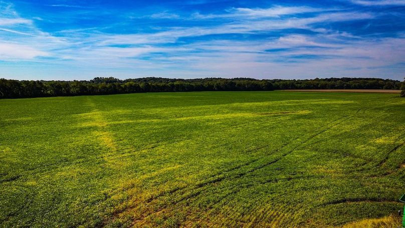 Copy of dji_fly_20251001_110956_0546_1759332192622_photo