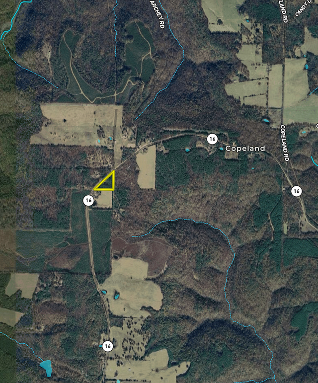 Screenshot 2025-07-30 at 10.20.01 AM