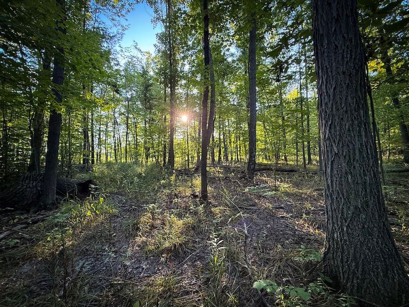 Copy of Wood Tract 4 Photo 10