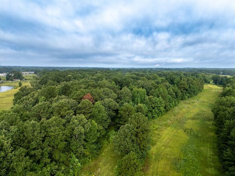 Panola Co. 40ac - Rouse-08