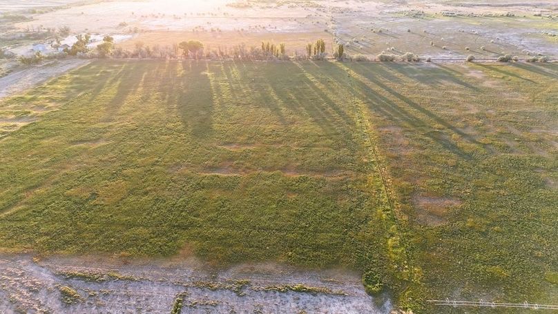 DJI_20240810065836_0082_D