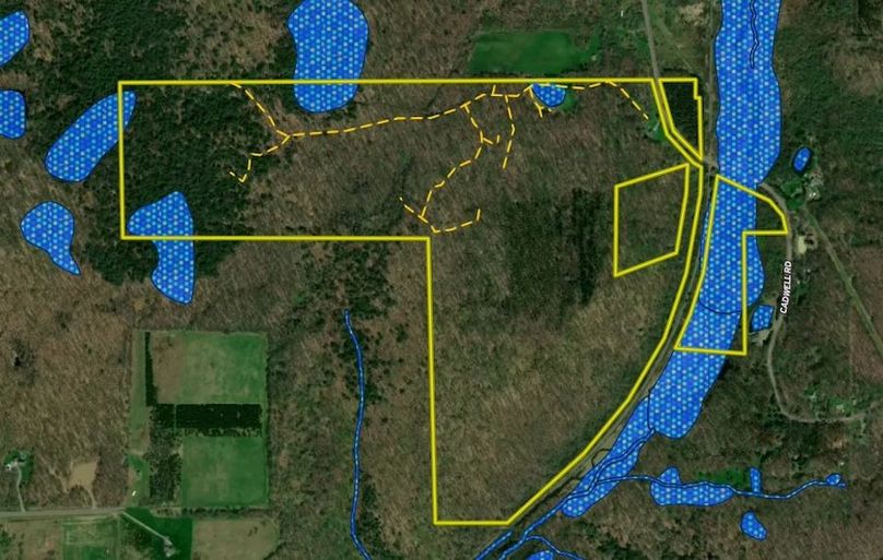 Land ID wetland