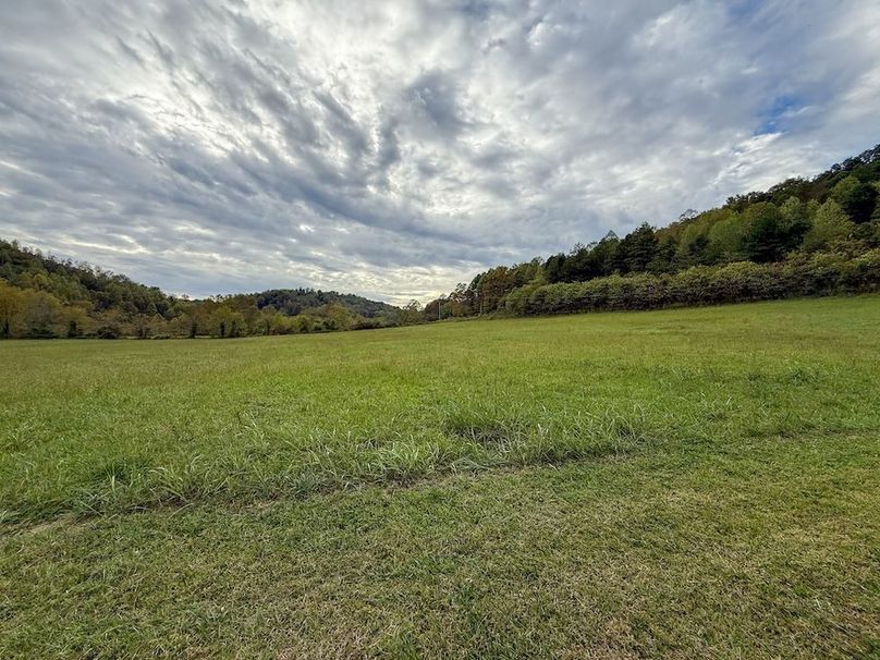 Greenup 77.28 Holsinger-10