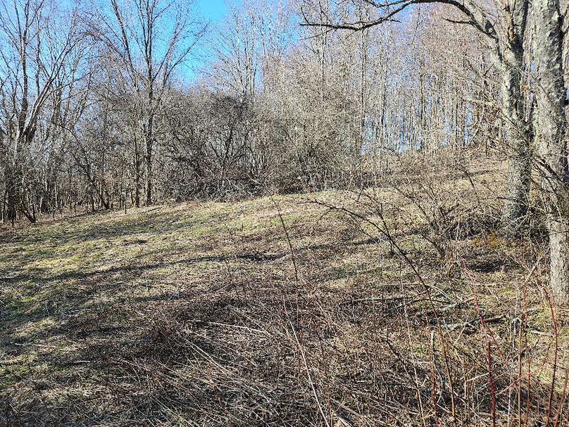 photo_703a1d73-867e-451e-a7bb-07eb44280e40