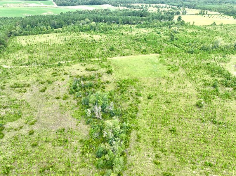 dji_fly_20240710_135144_543_1720634618482_photo