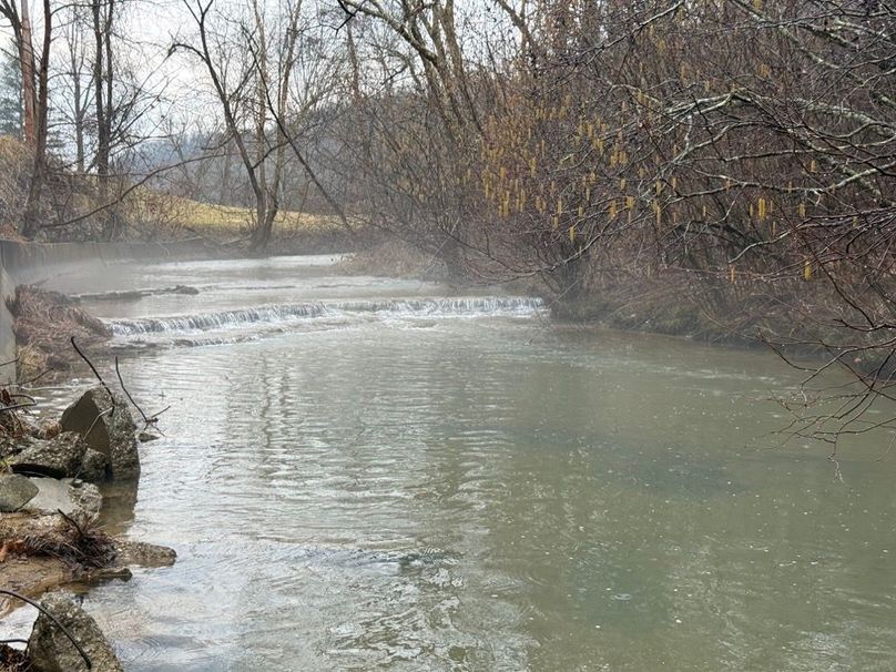 002 Left Fork of White Oak Creek along the southeast boundary and KY 1081