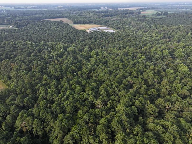 DJI_20250904075159_0019_D