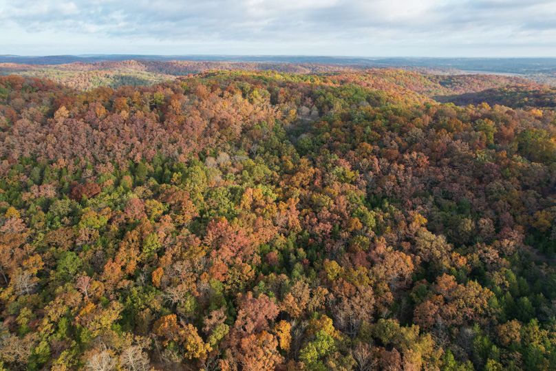 DJI_0309