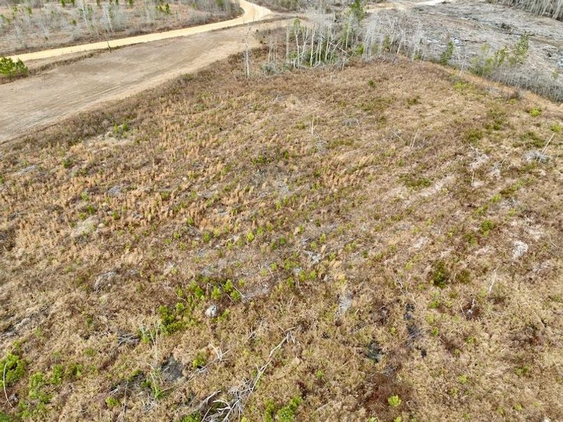 dji_fly_20260211_113928_292_1770828250967_photo