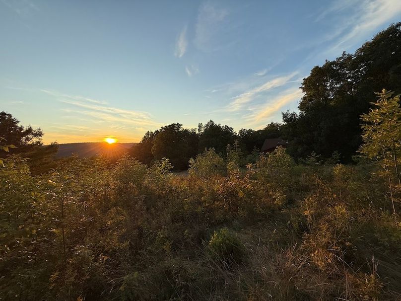 Ontario_33.3_Proseus Photo 50